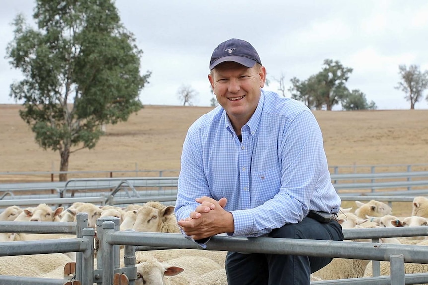 man leaning on fence with sheep behind him