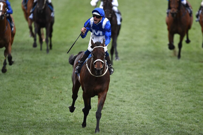 Hugh Bowman rides Winx to victory in the Cox Plate at Moonee Valley on October 22, 2016.