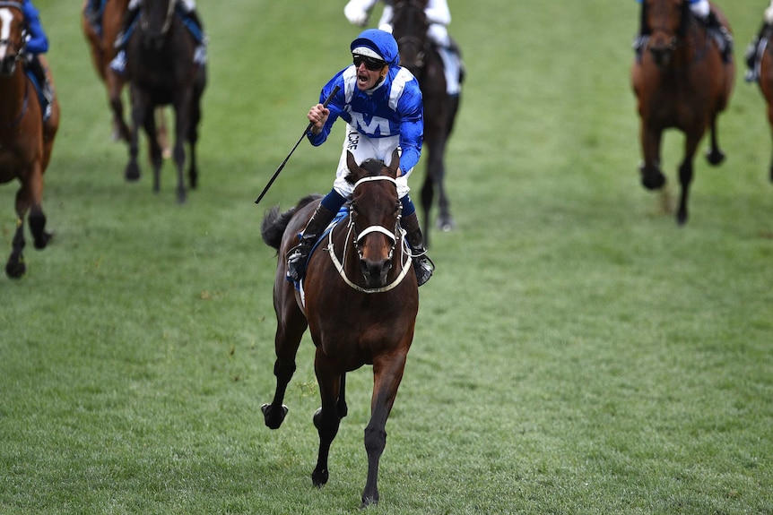 Winx wins the Cox Plate