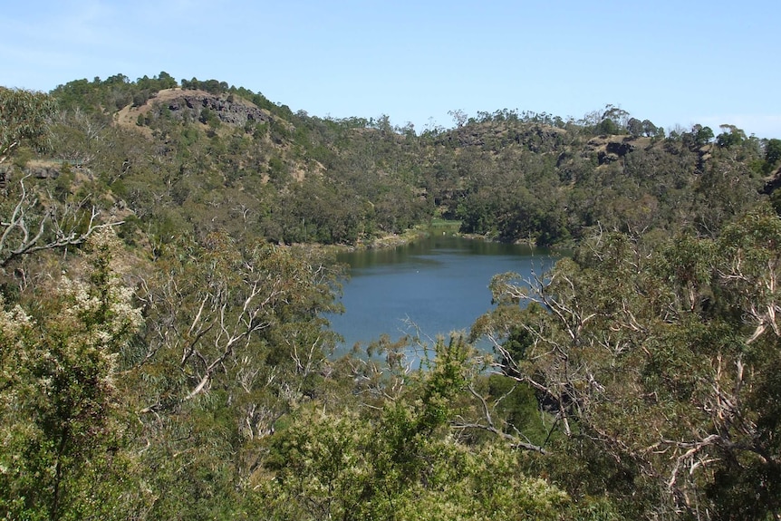 A lake inside a overgrown crater