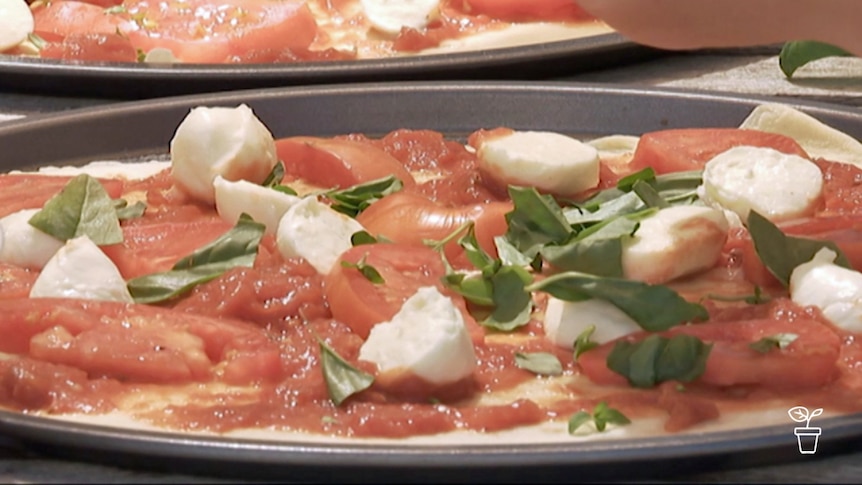 Dough pizza base with bocconcini cheese, tomatoes and basil