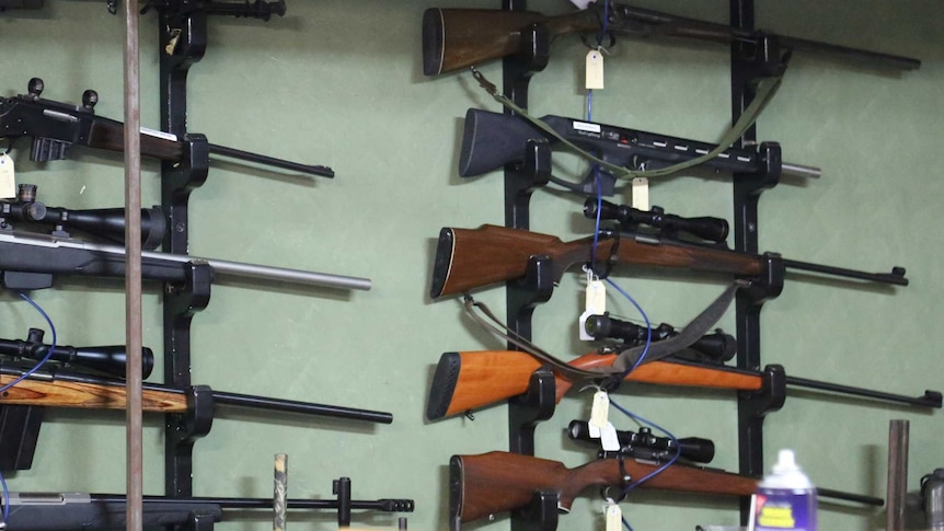 Row of guns collected as evidence by NSW Police, linked to Shane Simpson