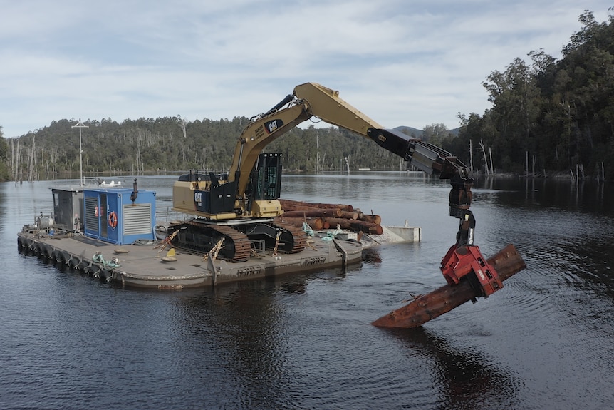 Excavator sits on a floating platform on a large lake.  Excavator is pulling a large piece of timber out of the water. 