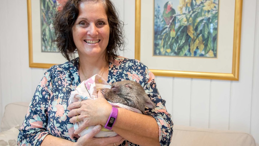 Carer Lindy Butcher with wombat joey