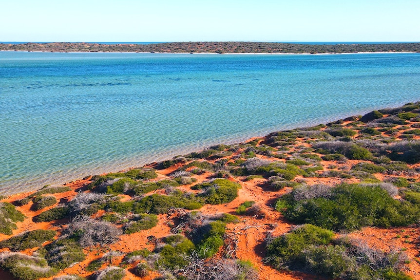 Red dirt with green scrub right up to the blue sea