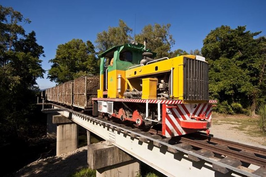 A loco or cane train travelled over a bridge
