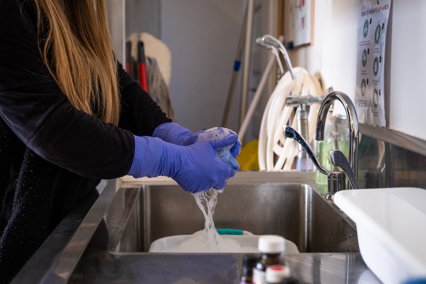 A close up of a woman's hands in gloves wringing out a wash cloth at a sink