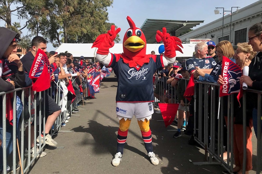 A person in a giant rooster costume waving their arms above their head.