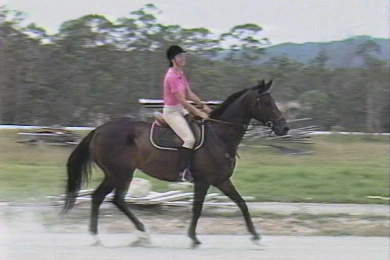 A woman in a pink shirt and white pants riding a brown horse along a track.