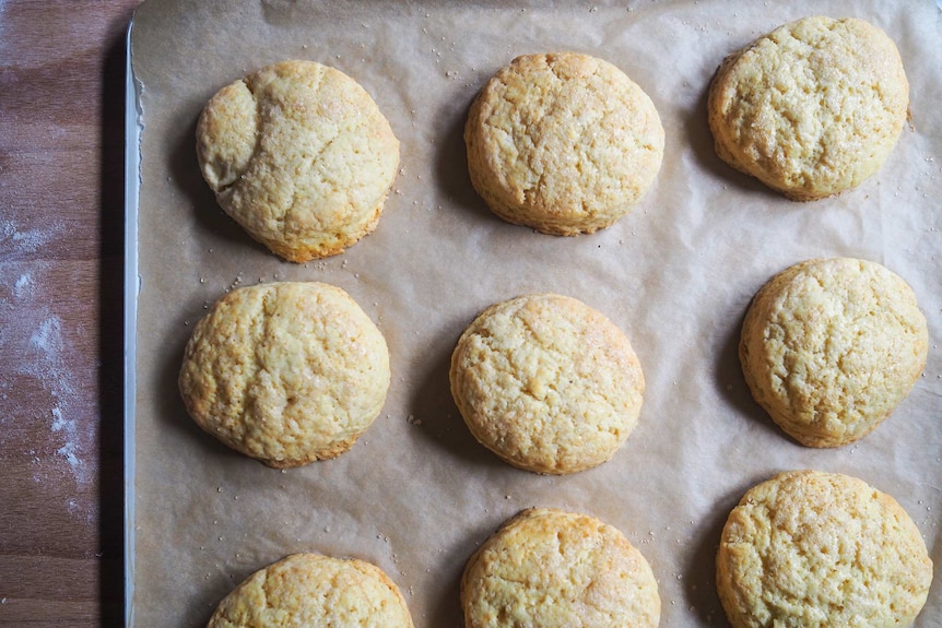 Nine shortcakes on a baking tray dusted with sugar, ready to be halved and filled. An easy baking project.