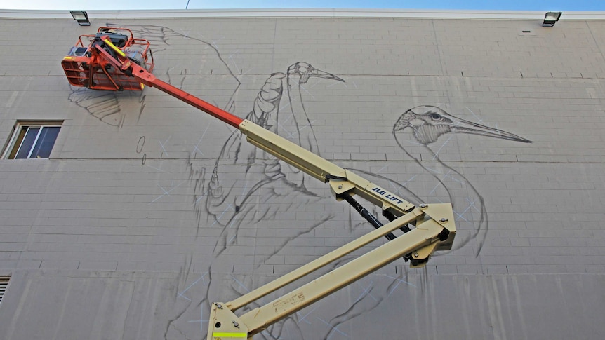 A man in a cherry-picker spray paints a mural of a brolga on a large, blank grey wall.