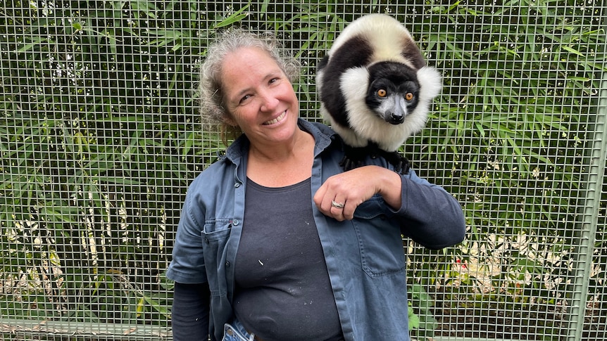 A lemur sitting on a smiling woman's shoulder, who is standing in front of a wire mesh fence.