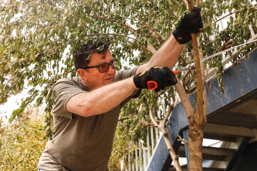 A man cuts a tree down near his roof's gutter