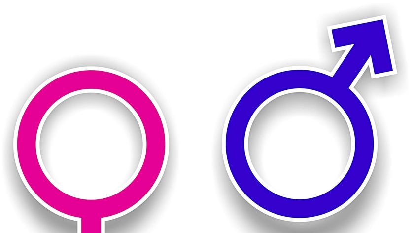 Pink Female Symbol and Blue Male Symbol on a white background