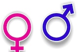 Pink Female Symbol and Blue Male Symbol on a white background