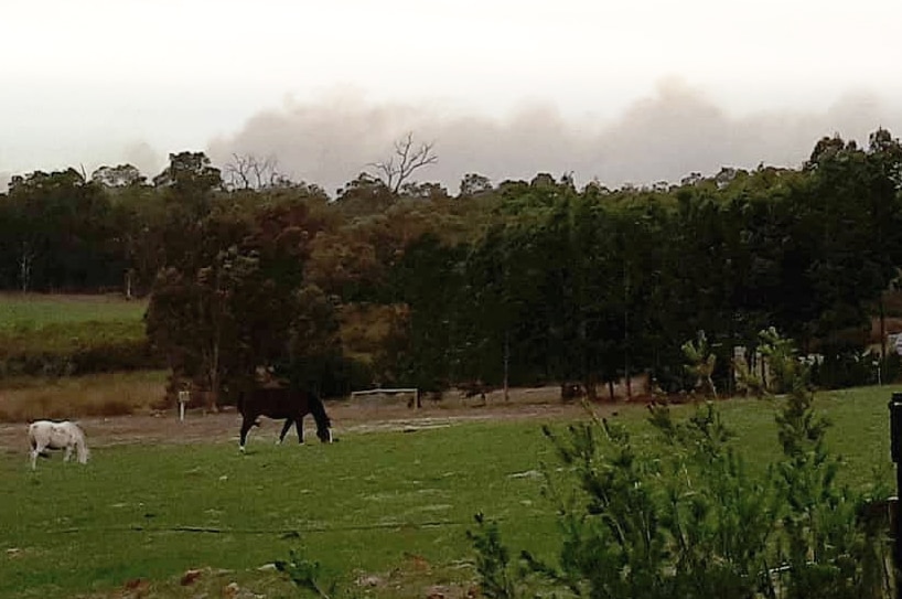 Smoke in the distance from Cath Millers property in Kaloorup. Horses in the foreground.