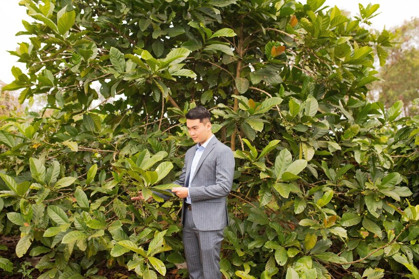 Vietnamese man in a suit stands in front of a coffee tree.