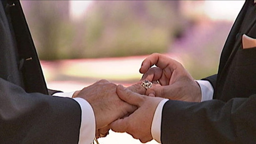 A gay couple exchange rings during a civil union ceremony