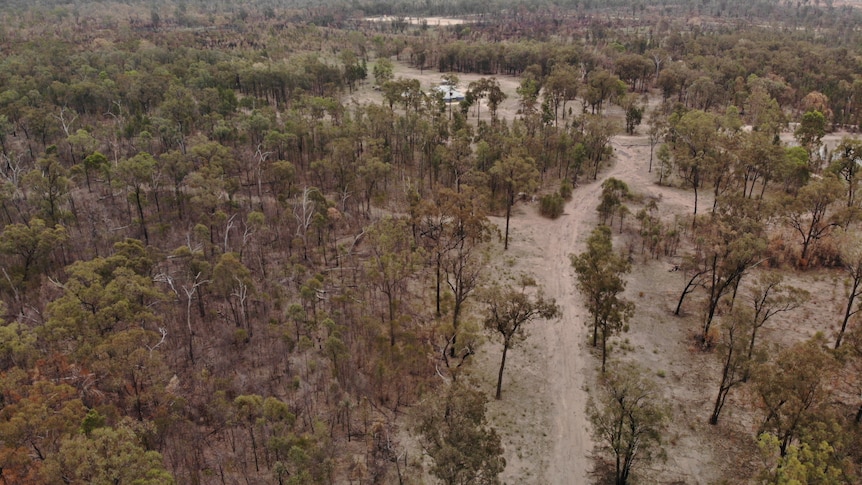 a wide aerial shot taken from a drone of a rural property surrounded by dirt roads and trees