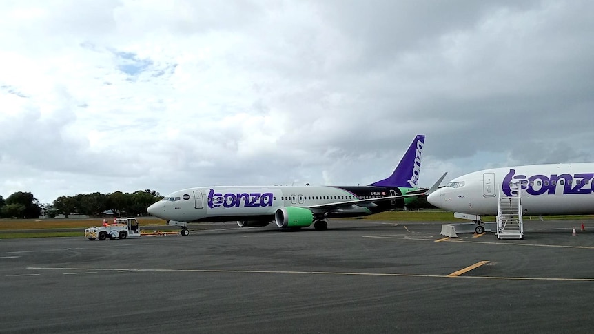 A large aircraft with purple-coloured livery on an airport tarmac.