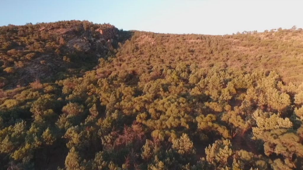 Bid to have Flinders Ranges put on World Heritage List - ABC News