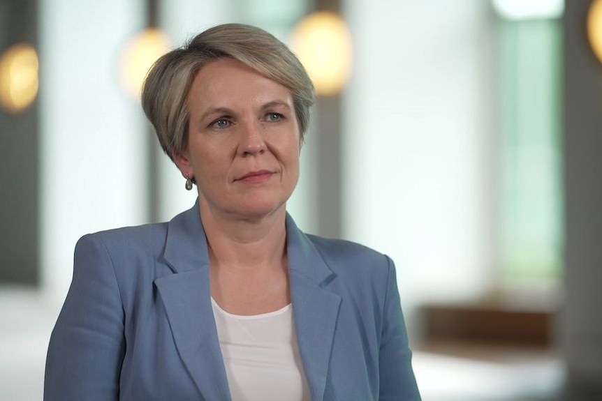 Tanya Plibersek on water buybacks in Murray-Darling Basin