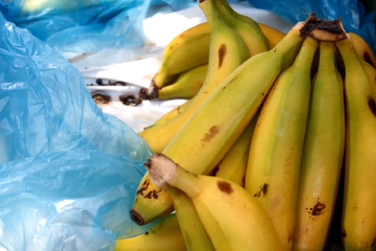 Bananas in a box