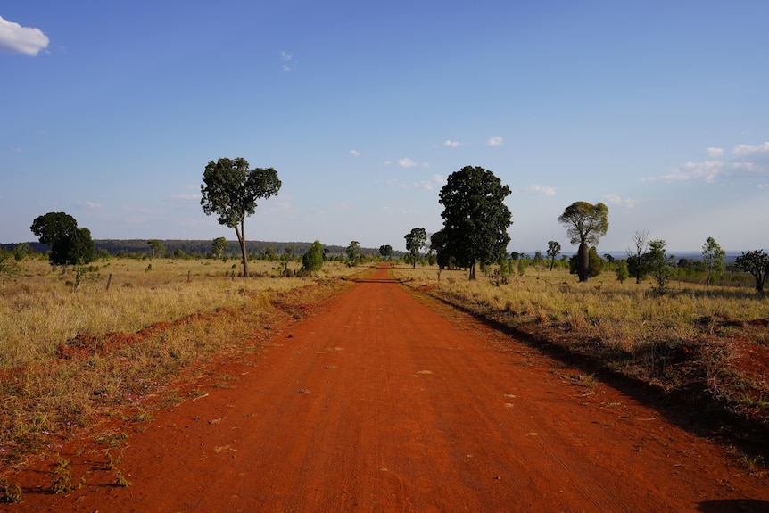 Wide shot of a red dirt road between two grazing paddocks