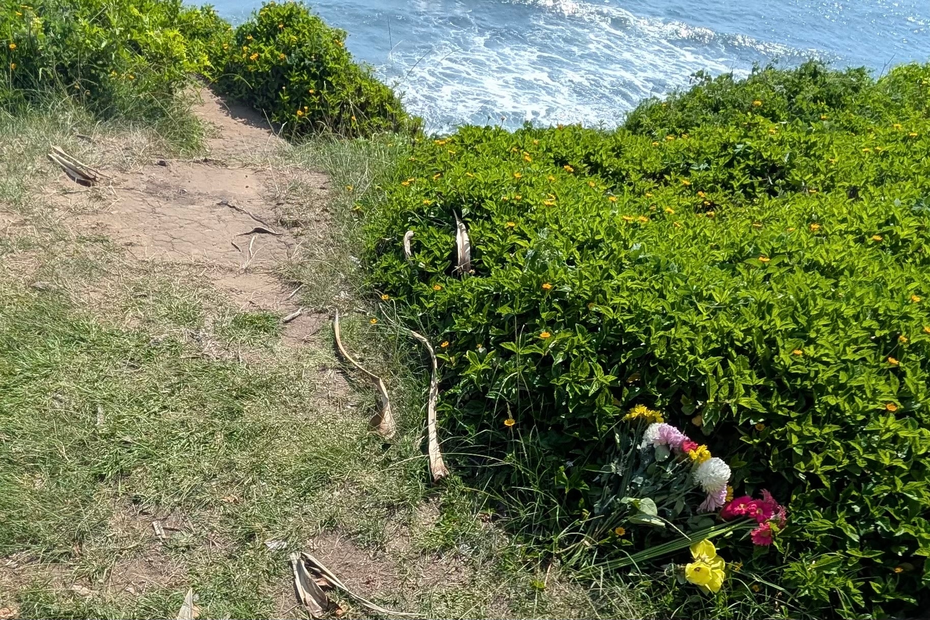 Flores junto a un camino de tierra desgastado junto a un acantilado.