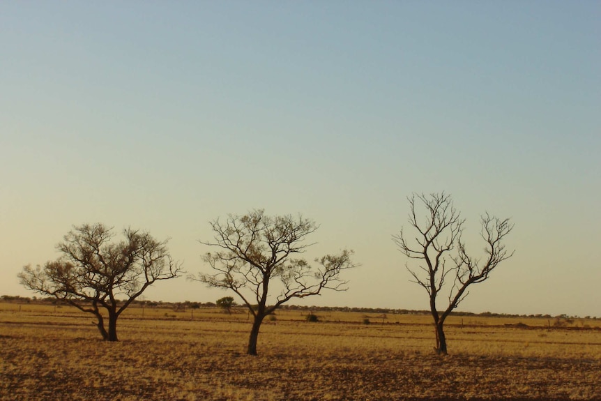 Along the Plenty Highway