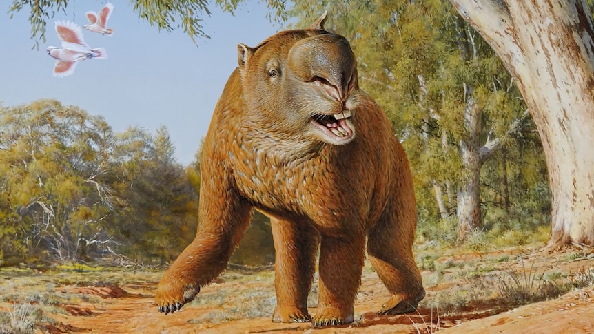 Artist's impression of extinct megafauna animal Diprotodon