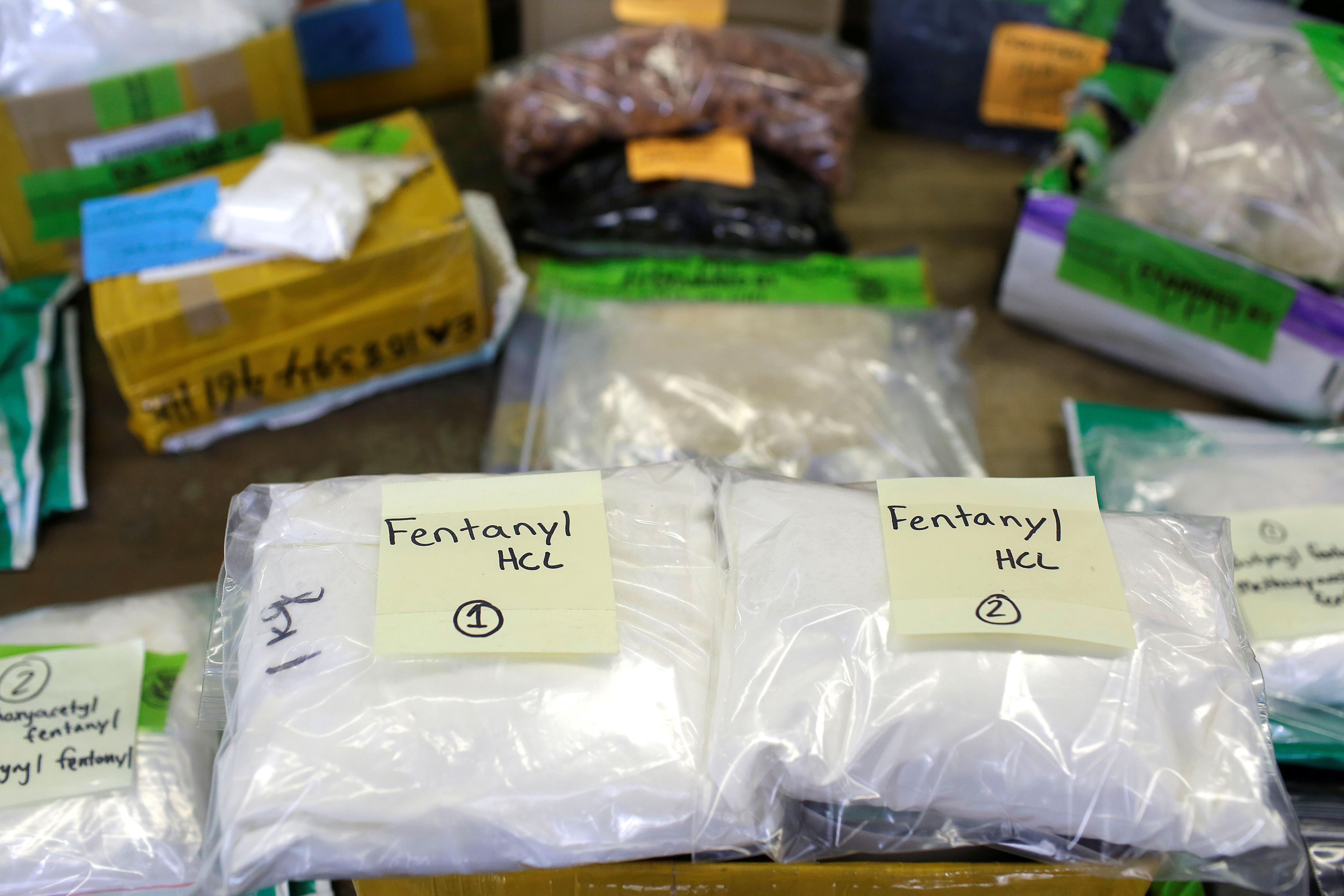Plastic bags of a white powder labelled "fentanyl"