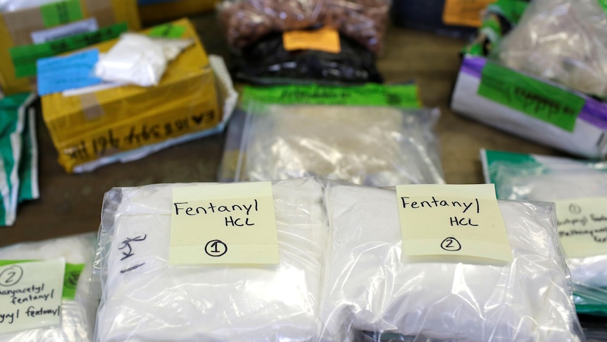 Plastic bags of a white powder labelled "fentanyl"