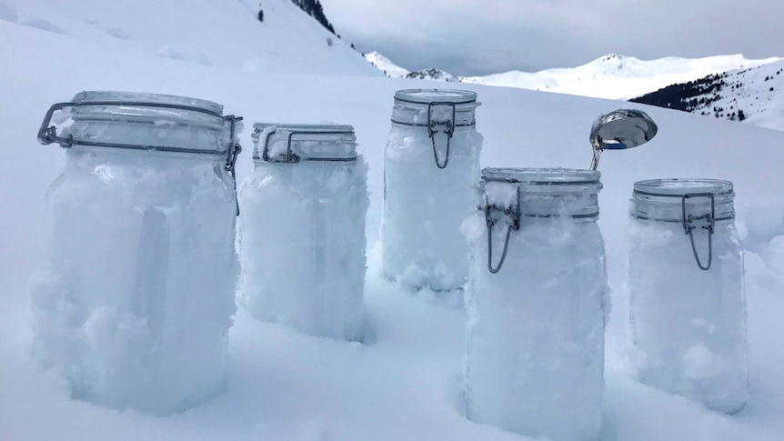Snow samples sit in five jars in Switzerland on the snow.