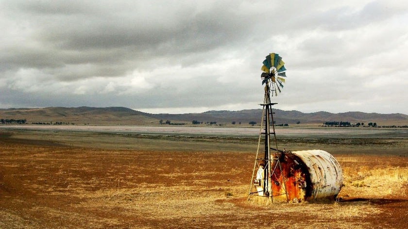 Windmill on farm