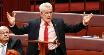One Nation Senator Malcolm Roberts gestures with his arms outstretched. His colleague Brian Burston is behind him.