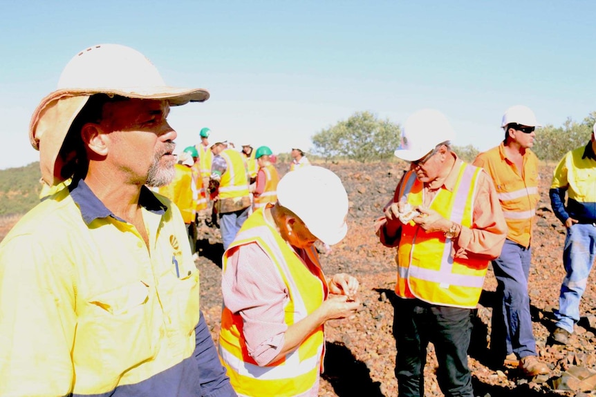 Mt Todd gold project