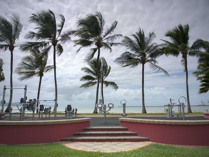 Palm trees blow and storm clouds brew in front of unused outdoor gym equipment