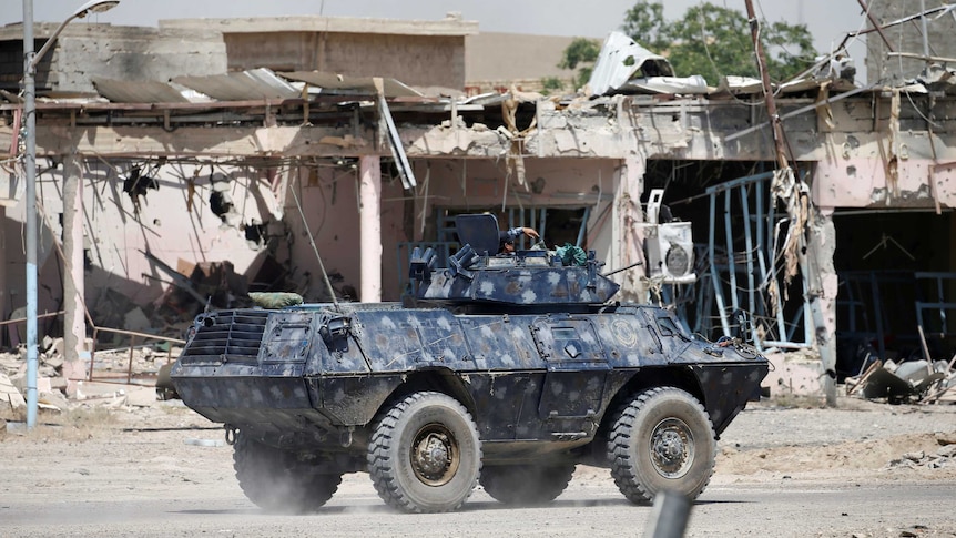 Iraqi forces in Fallujah