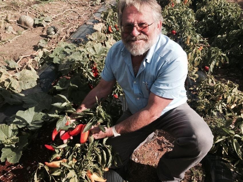 A bearded man wearing glasses crouches down in a vegetable garden holding a handful of peppers.
