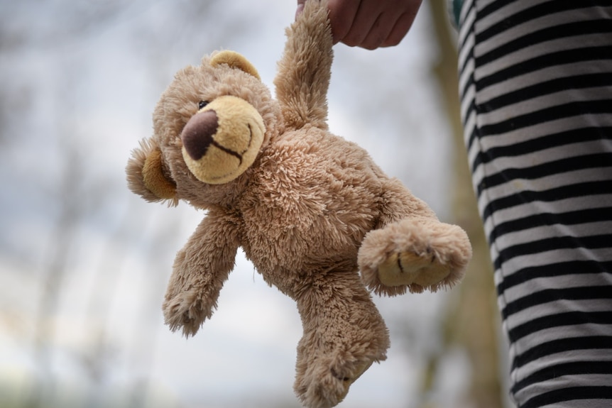 A child holding a brown teddy bear