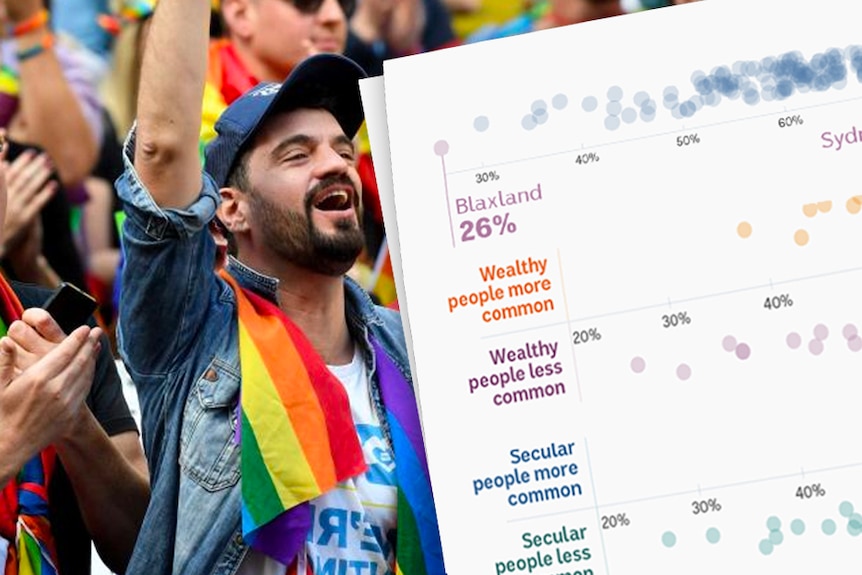 A man wearing a rainbow flag around his neck cheers. Next to him is a screenshot of dot plots