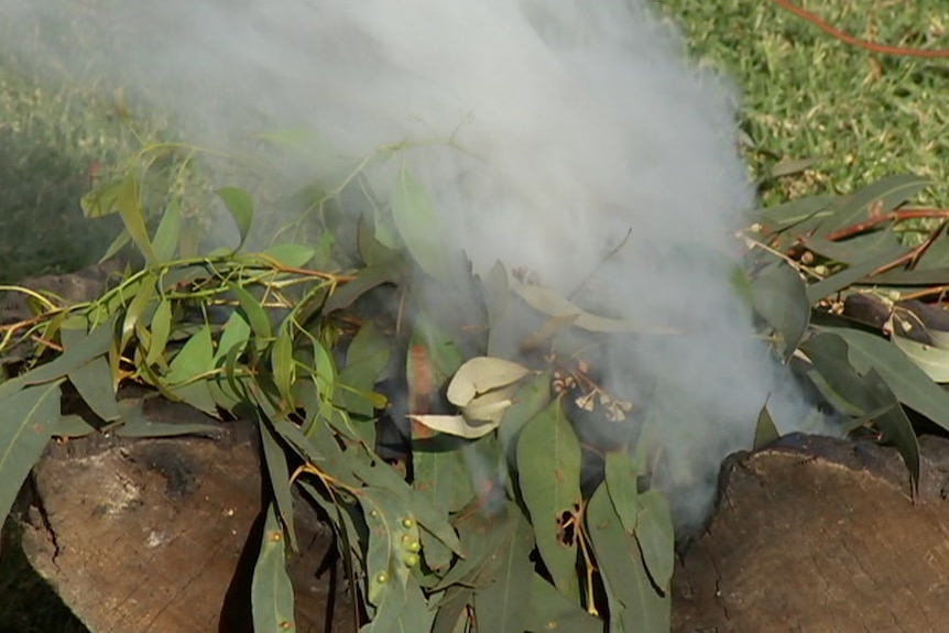 A close-up photograph of smoke coming from a small fire burning eucalyptus leaves as part of a smoking ceremony.