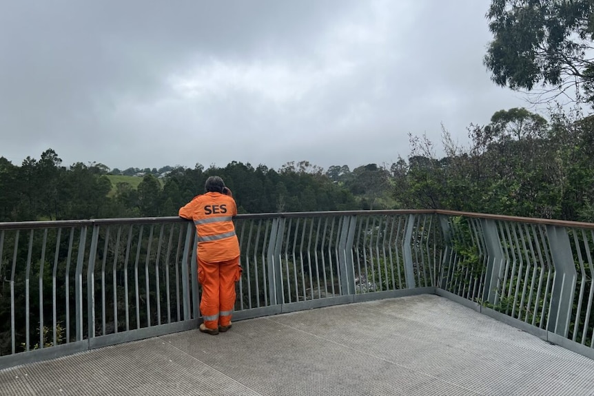 A woman in an orange high vis suit with 'SES' written on the back, stands at the lookout of Dangar Falls