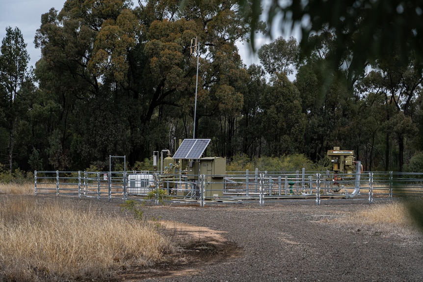 Infrastructure for a coal seam gas well is seen through the trees of a forest. 