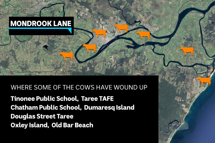 A map showing images of cows over a part of NSW