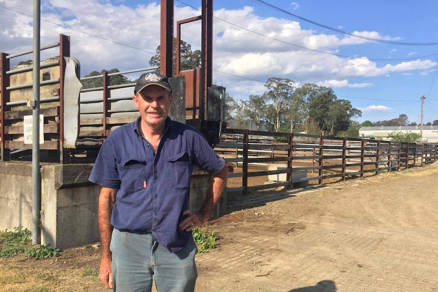 Barrington Dairy farmer standing in front of cattle saleyards in Gloucester