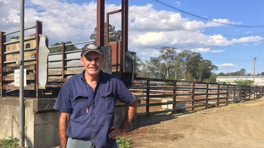 Barrington Dairy farmer standing in front of cattle saleyards in Gloucester
