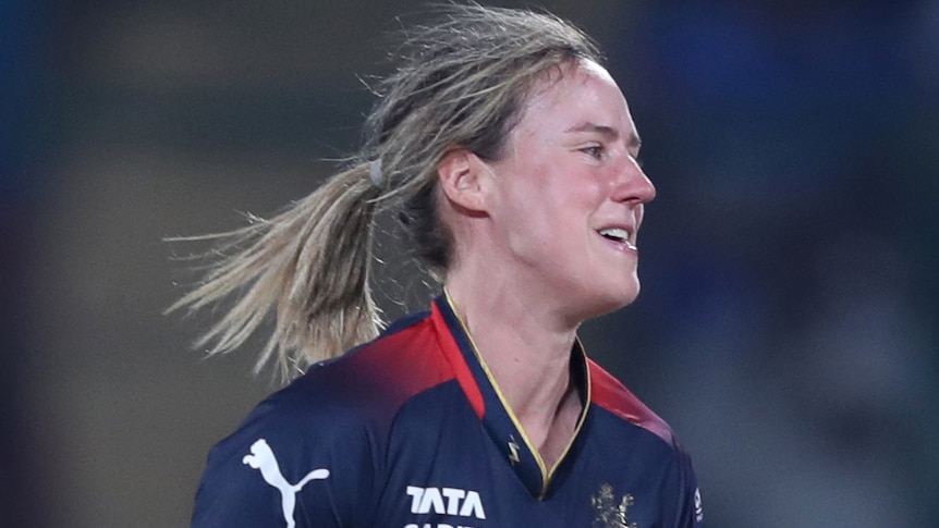 Ellyse Perry celebrates taking a wicket for Royal Challengers Bangalore in the WPL.