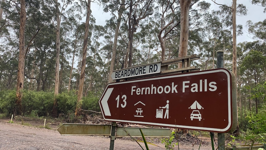 A sign that reads "Fernhook Falls" in front of a forest.